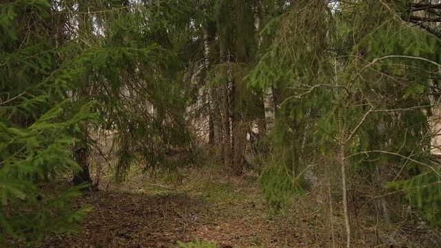 ОПАСНАЯ РЫБАЛКА в апреле, НЕ ПОВТОРЯТЬ! смотреть онлайн