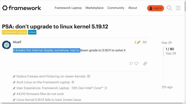 Linux Potentially DAMAGING Displays - Stay away from this Kernel Version! смотреть онлайн