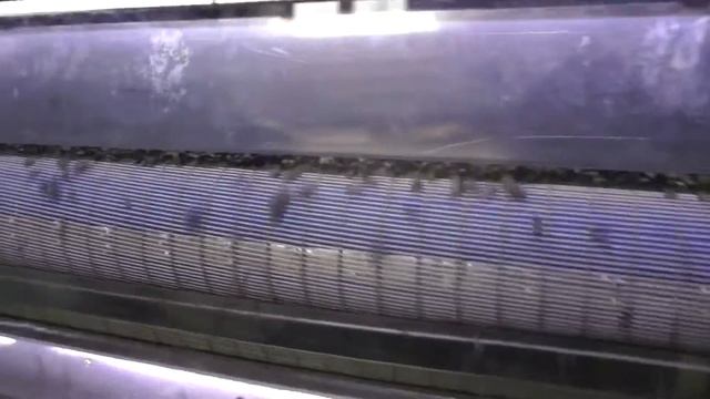 Установка удаления шелухи после жарки семечек. смотреть онлайн