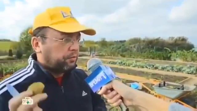 Необычный урожай в Беларуси смотреть онлайн