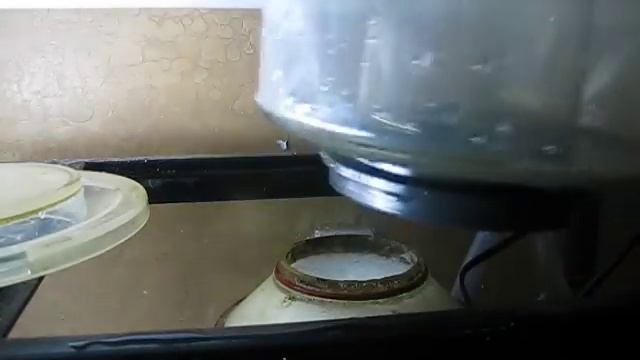 HOW TO: Set up/ tune in protein skimmer смотреть онлайн