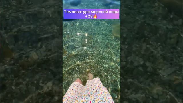 Грязное МОРЕ в Крыму??Смотрим ПЛЯЖ в Алуште! Крым сегодня 2023 #крым #моревкрыму #алушта #пляж смотреть онлайн