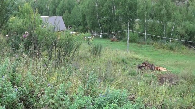 В сердце Азии 2021. Часть 1 смотреть онлайн