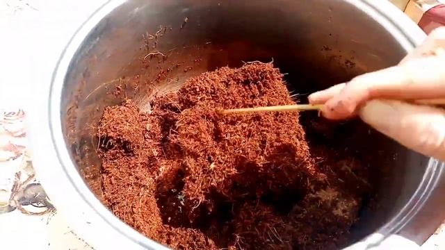 Подготовка кокосового субстрата для улиток Ахатин смотреть онлайн