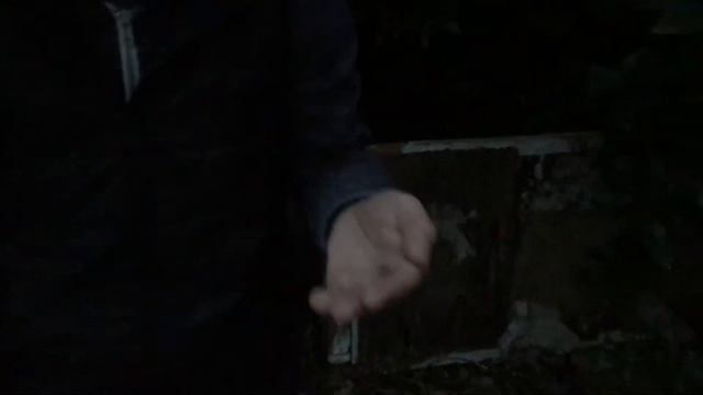 Абхазия 2017. Апсны. Отдых. Travel. Цены. Отзывы. 3. Новый Афон. Светлячки). Насекомое жук светляк. смотреть онлайн