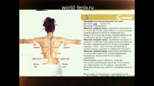 Биоэнергомассаж Fohow - схема проведения базовой процедуры биоэнергорегуляции организма.