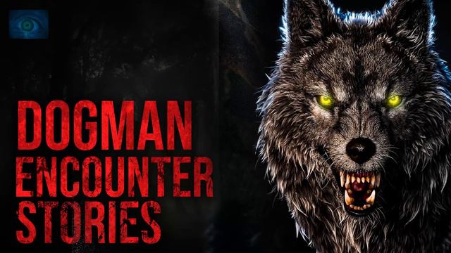 WATCH OUT FOR THE WOLF MEN - SCARY STORIES OF DOGMAN ENCOUNTERS