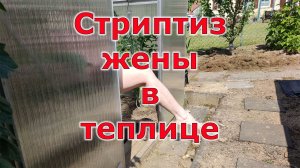 Жена устроила СТРИПТИЗ в теплице