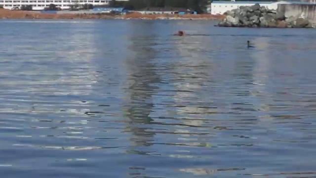 пляж дввиму Владивосток 4 смотреть онлайн