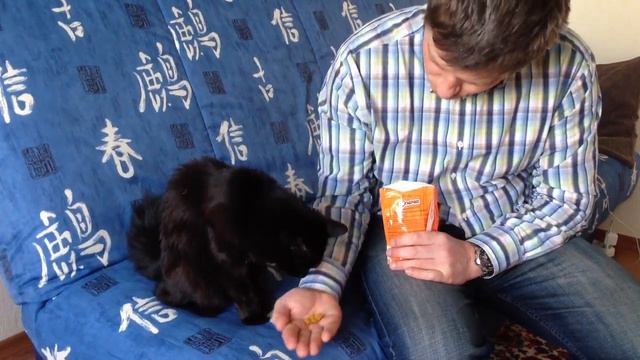 Черныш и конфетки смотреть онлайн