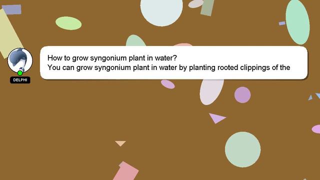 How to grow syngonium plant in water? смотреть онлайн