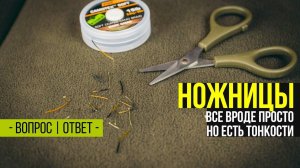 Ножницы для рыбалки. На что стоит обращать внимание?