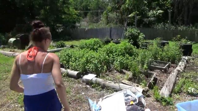 How To Make Your Own Paper @ The Zero Waste Fair смотреть онлайн