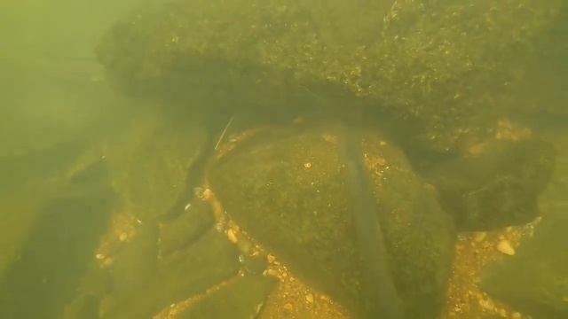 Нашёл/ Samsung Galaxy/ на дне Реки /Поиск сокровищ под водой/ смотреть онлайн