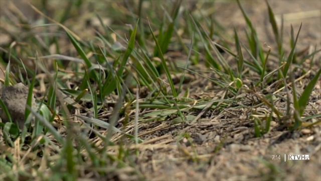 Yellowstone opens for the spring (MTN Outdoors) смотреть онлайн