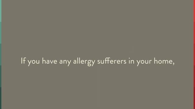 Eco-Friendly Flooring In Charleston - Reasons To Choose Eco-Friendly Flooring