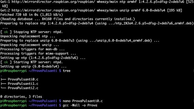 GPIO wiringPi e linguaggio C - Raspberry Tutorial ITA #2 смотреть онлайн