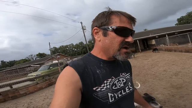 Florida Greyhound Racing. The fight is not over. смотреть онлайн