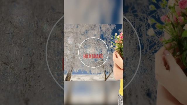 История из жизни Марка приняли в больницу сразу, как хорошего специалиста Жизненные истории #Shorts смотреть онлайн