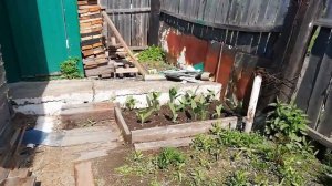 Строим веранду к бани...