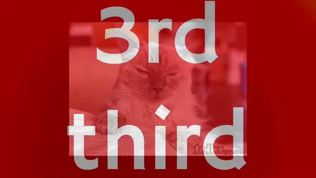 Cat maths Ep5 смотреть онлайн