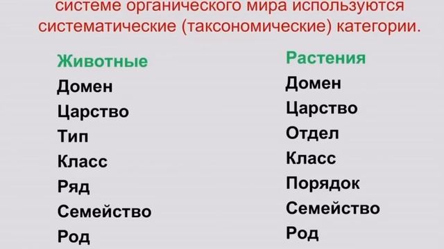 9 класс. Биология. Биоразнообразие. Основы эволюционной филогении и систематики. смотреть онлайн