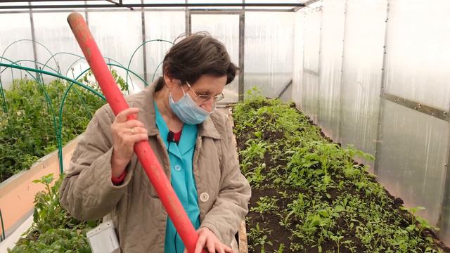 Суперспециалист и 2 пионера берут анализы и помогают Леночке смотреть онлайн
