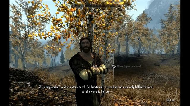 Interesting NPCs - Kjoli смотреть онлайн
