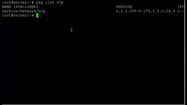 Solaris 11 Verify software integrity with PKG смотреть онлайн