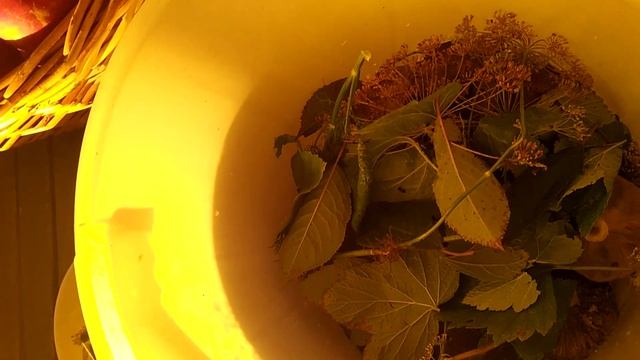 Рецепты для особых случаев 