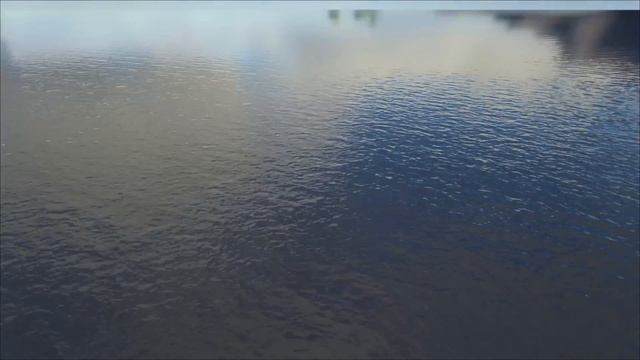 Gargantuan Leviathan in ARK: Survival Evolved смотреть онлайн