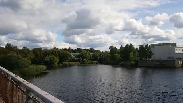 Влог №26: Тигренок из 