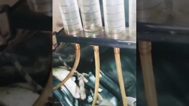 fuel leak deteck ford ranger P0093 смотреть онлайн