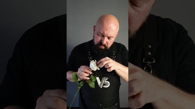 Как вывернуть лепестки у роз правильно смотреть онлайн