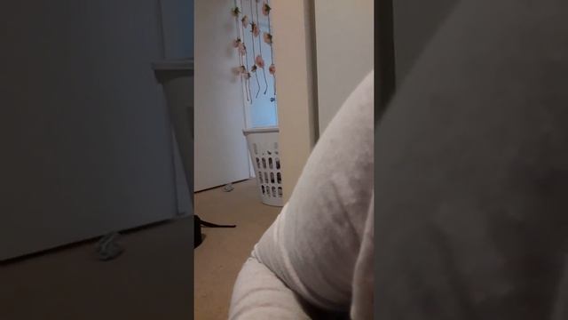clean my room part 1 смотреть онлайн