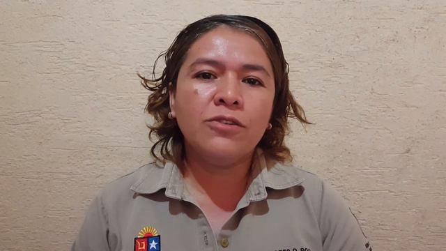 Gabriela Dolores Milan Silva смотреть онлайн