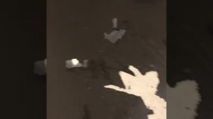 Краска для бетонных полов бетонит. Красим топинговый пол.