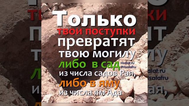 Хадис о семь награды после смерти.. смотреть онлайн