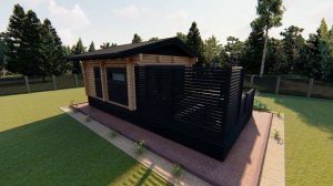 Современная баня с бассейном 6 на 10