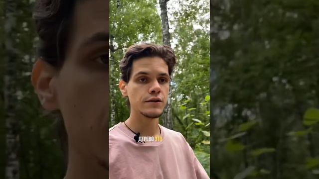 Мужчина не дает энергию женщине смотреть онлайн