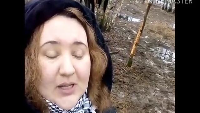 # 548 Зимний лес или опять навещаем хвостатых:) смотреть онлайн
