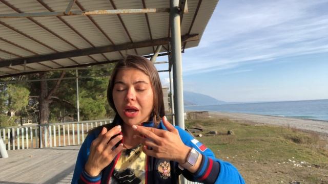 Животные в Зоопарках