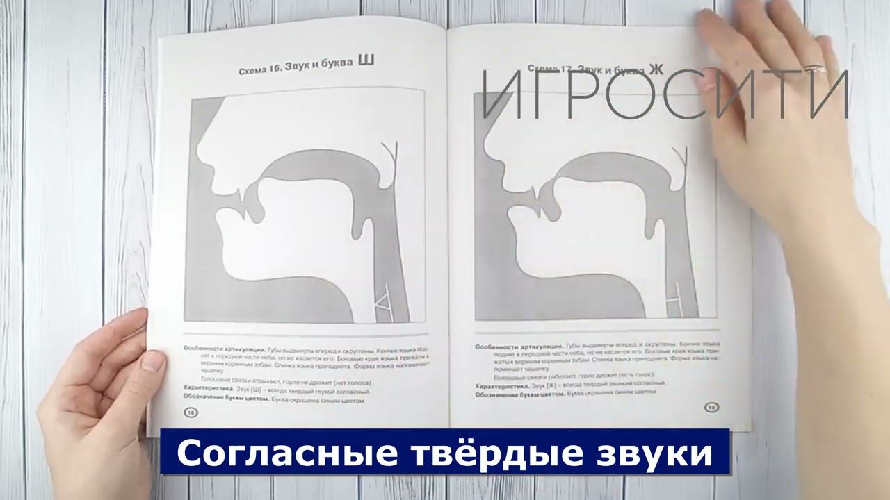 Артикуляция звуков в графическом изображении (логопедические артикуляционные профили) смотреть онлайн