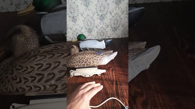 Чучела уток. Оснастка. смотреть онлайн