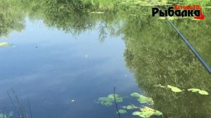 Здесь ловит каждый.Рыбалка на мормышку и поплавок летом