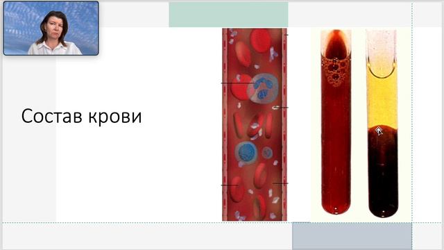Кровь Плазма крови смотреть онлайн