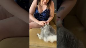 Дом 2! Черно притащили новый диван, но! кошка посидела на нем и Саша ее почесала...)