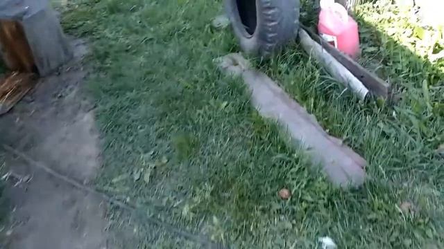 Обработка картофеля перед посадкой