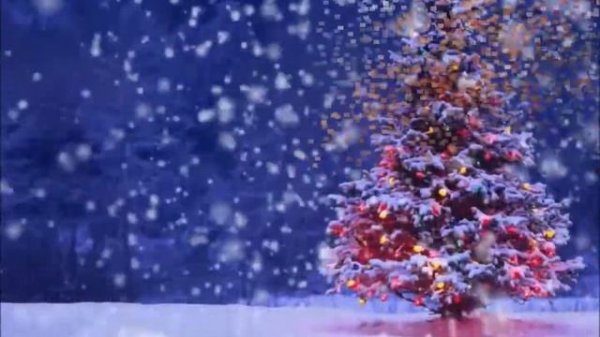 MANUSHAK SHIRINYAN ( Nor tari...) Metaqse , Vahagn Davtyan