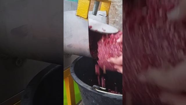 Промышленная соковыжималка и дробилка для гранатов/ Pomegranate peeling and squeezing machine смотреть онлайн